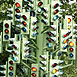 Traffic Lights on the  Isle of Dogs