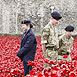 Poppies @ The Tower